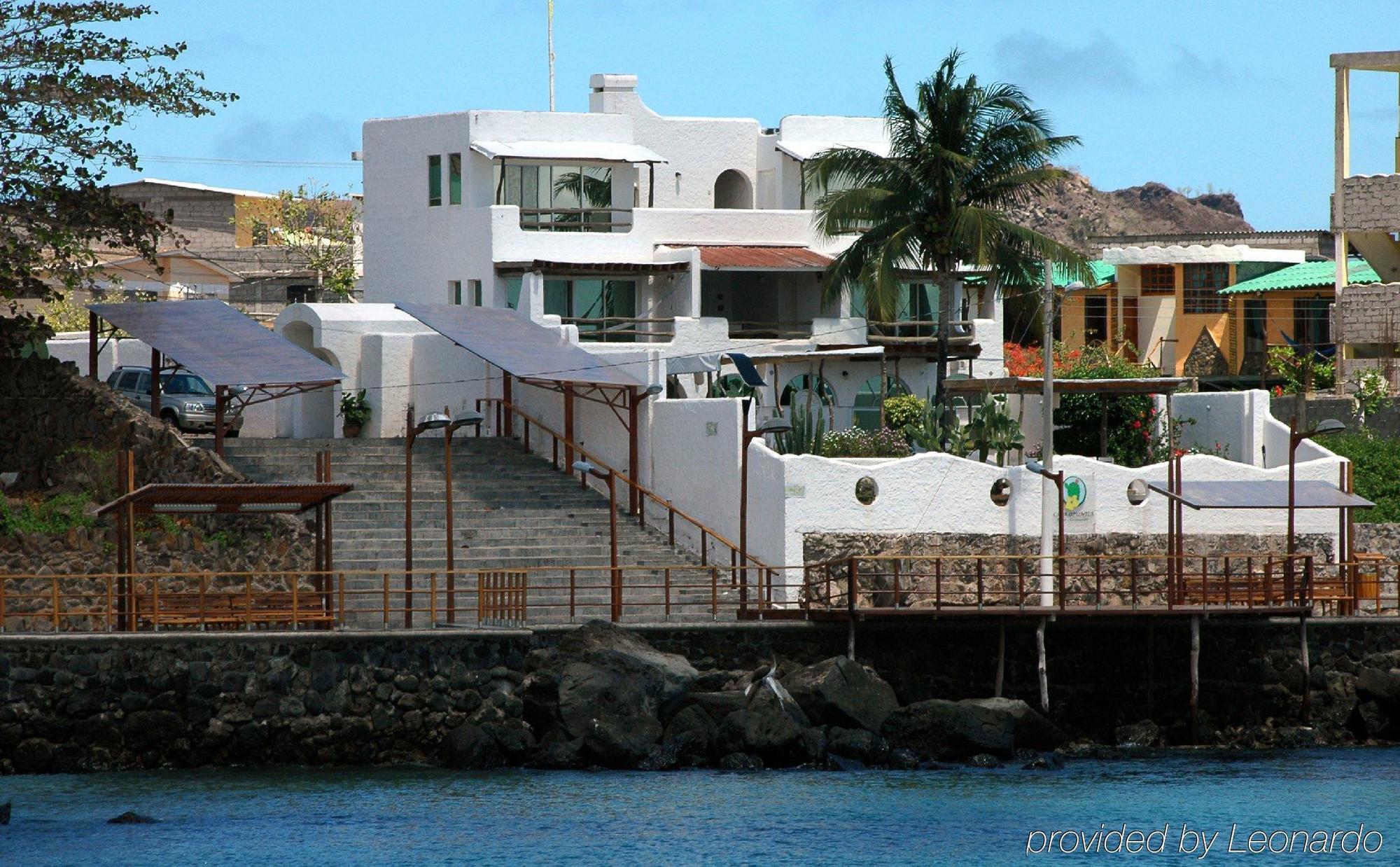 Casa Opuntia Panzió Puerto Baquerizo Moreno Kültér fotó