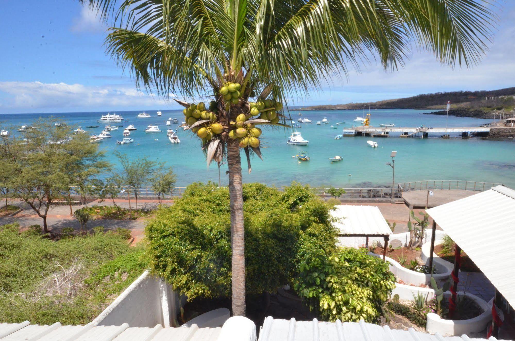Casa Opuntia Panzió Puerto Baquerizo Moreno Kültér fotó